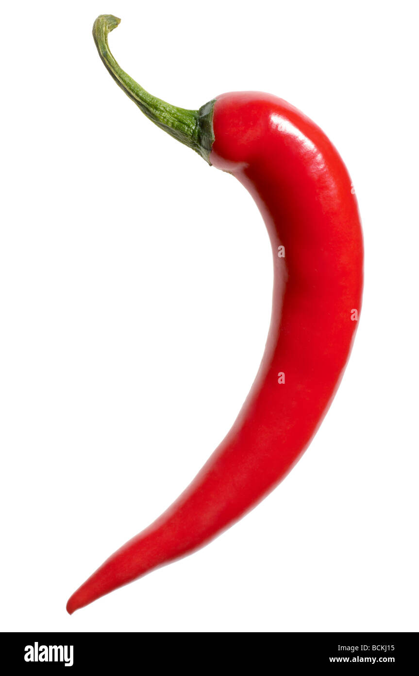 Red chili on white background Stock Photo