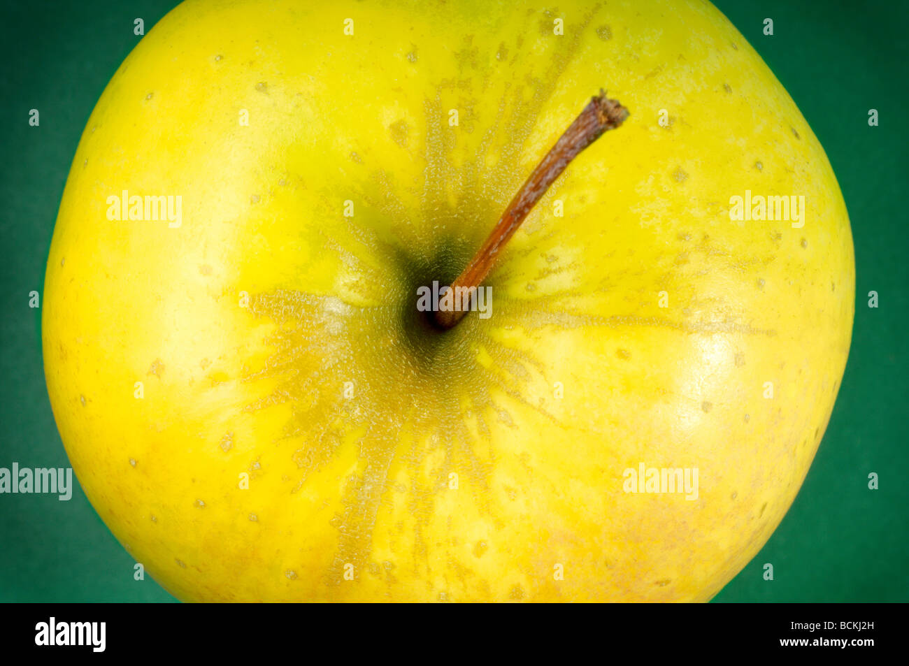 Apple on green background Stock Photo - Alamy