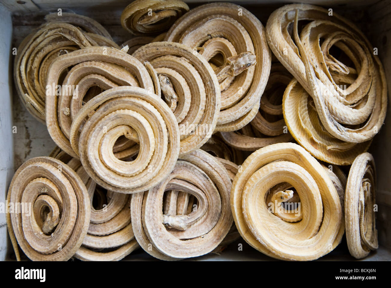 Dried coiled snakes in markets Stock Photo