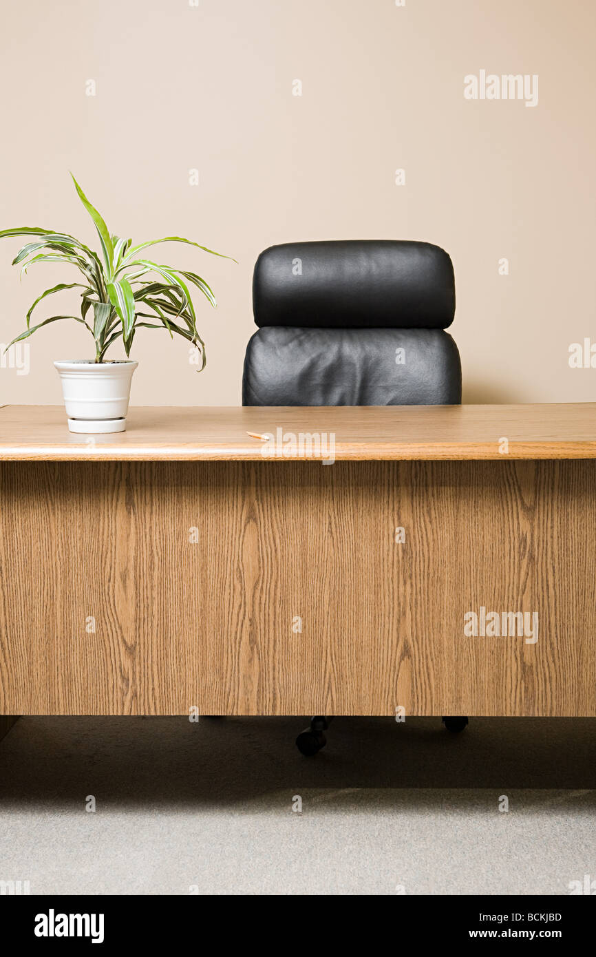 Office desk with pot plant Stock Photo