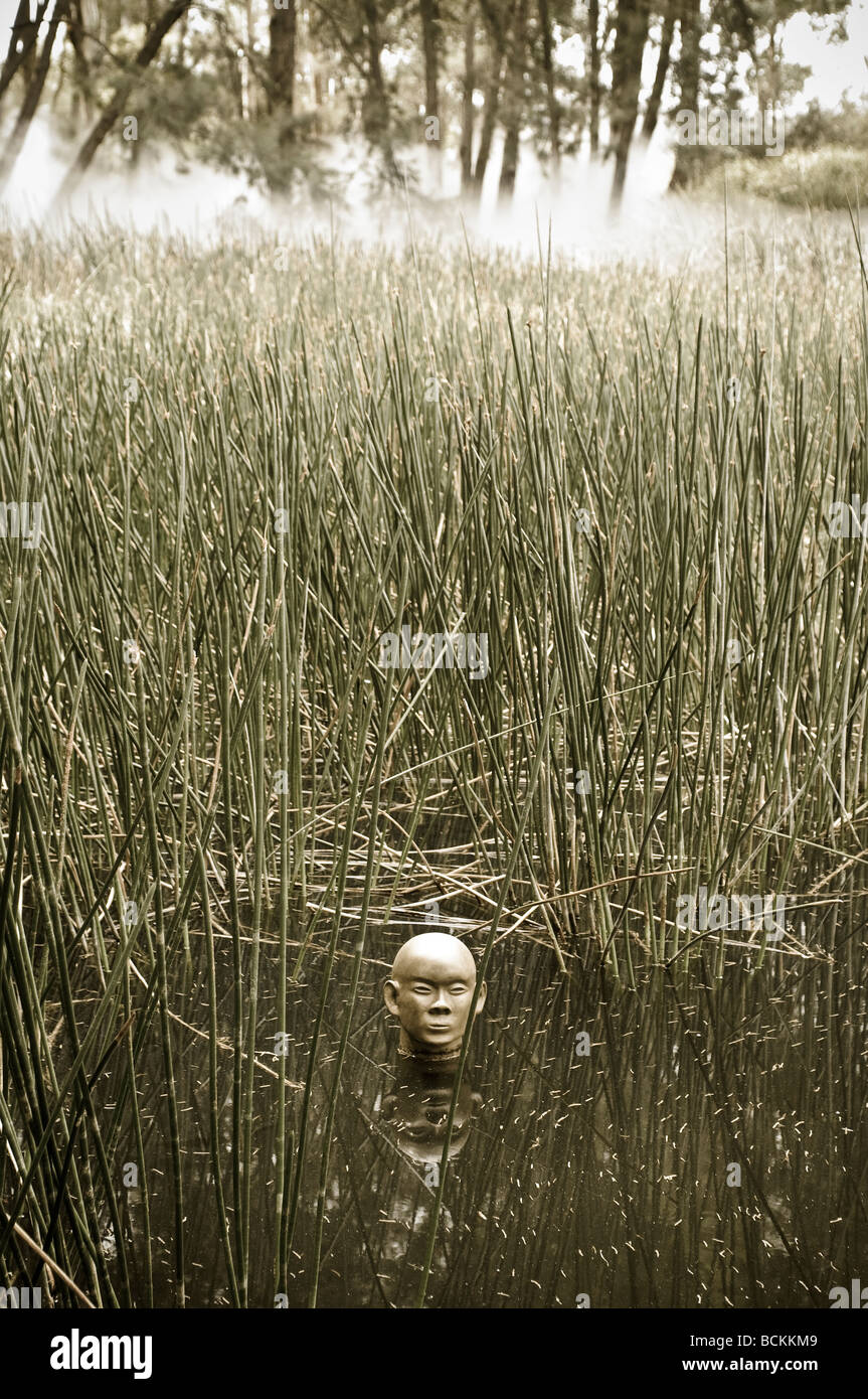 National Gallery Sculpture Garden Head in water Canberra ACT Australia ...