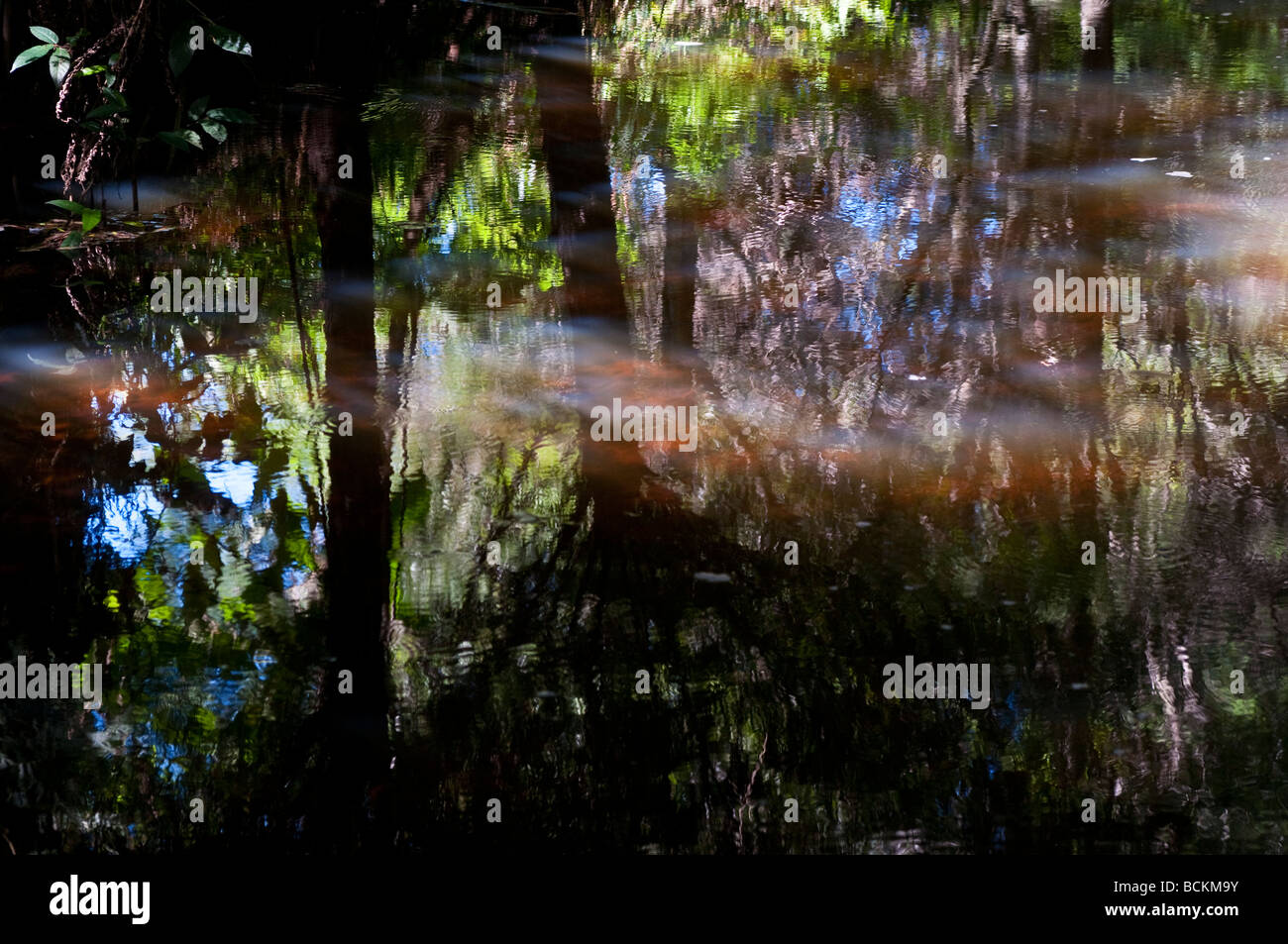 Water reflections Stock Photo