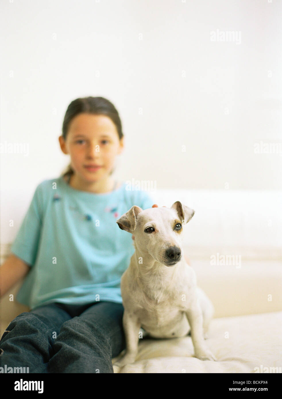 Dogs on couches hires stock photography and images Alamy