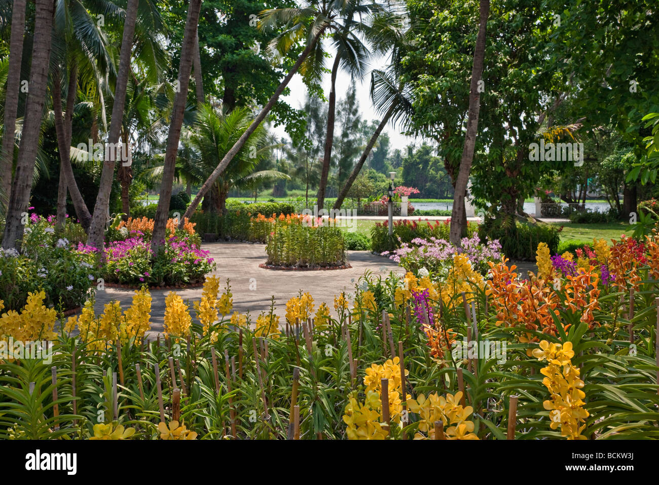 Thailand. A magnificent display of orchids at Rose Garden a tourist complex set in 75 acres of magnificent gardens. Stock Photo