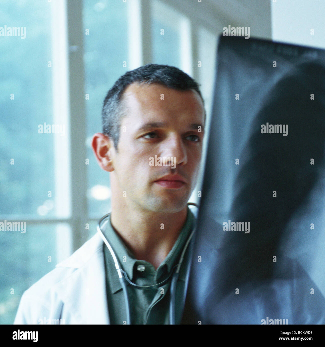 Male doctor examining x-ray Stock Photo