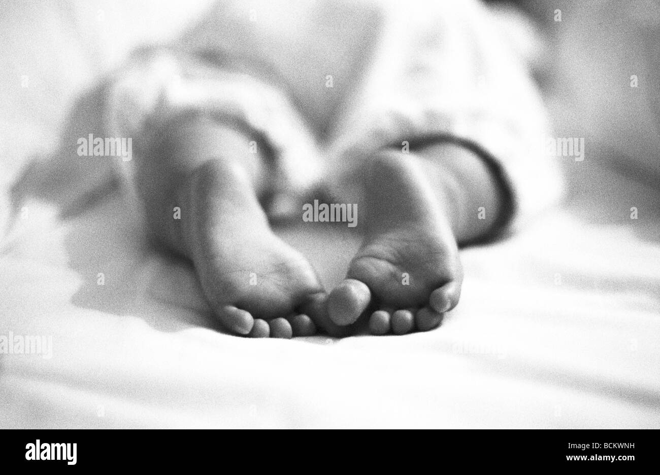 Baby's feet, b&w Stock Photo