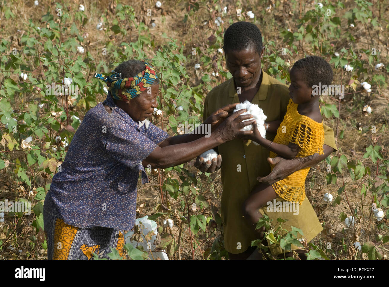 Western Africa Burkina Faso , fairtrade and organic cotton project , farm of cotton farmer Nayaga Daniel Stock Photo