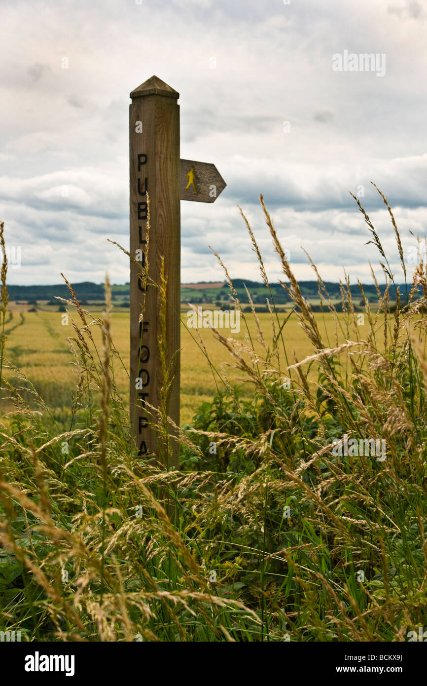 footpath sign, much overgrown Stock Photo