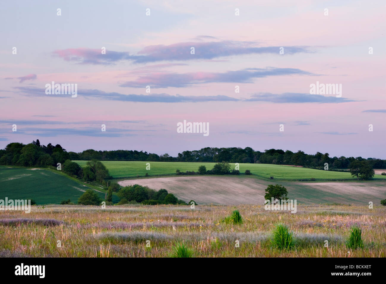 Whitwell hertfordshire hires stock photography and images Alamy