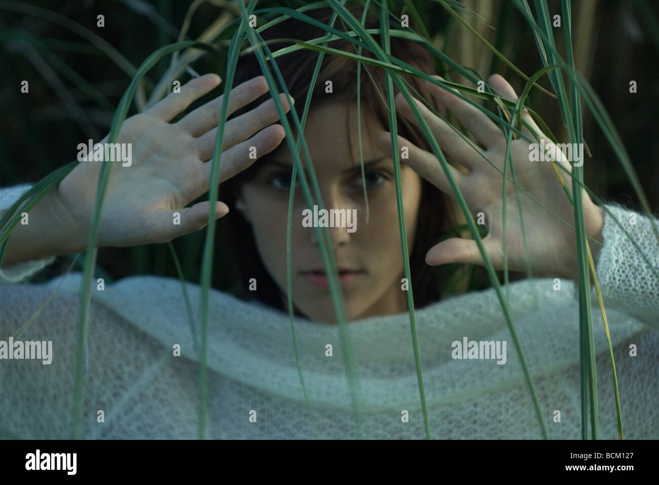 Woman looking through tall grass, hands raised, close-up Stock Photo