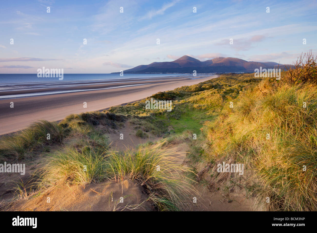Early morning sunlight lights up the Mountains of Mourne and the sand dunes of Murlough Bay in County Down Northern Ireland Stock Photo