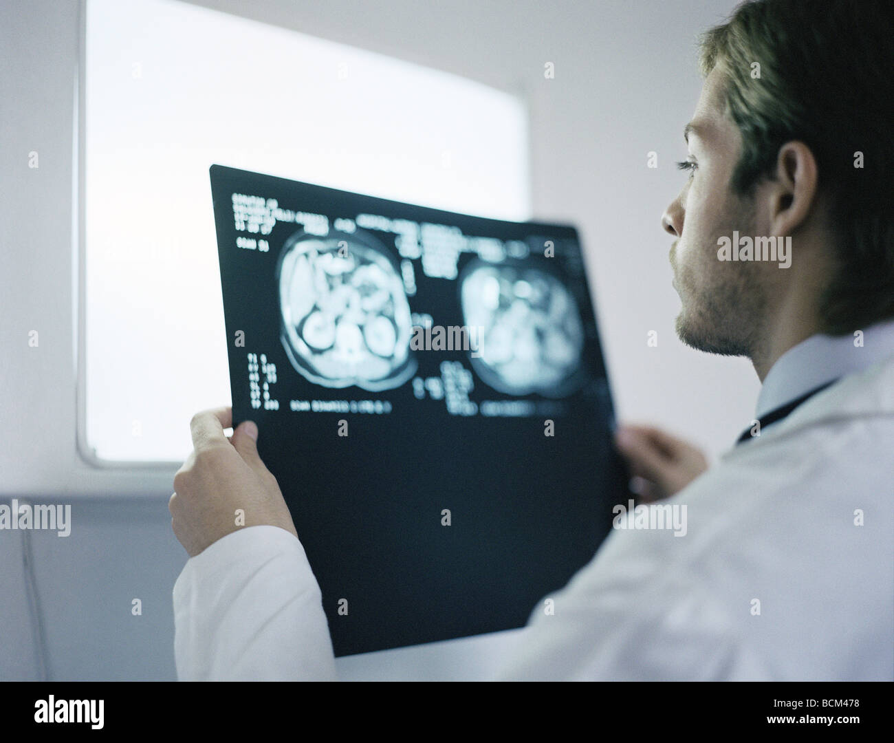 Doctor holding and examining MRI scans Stock Photo
