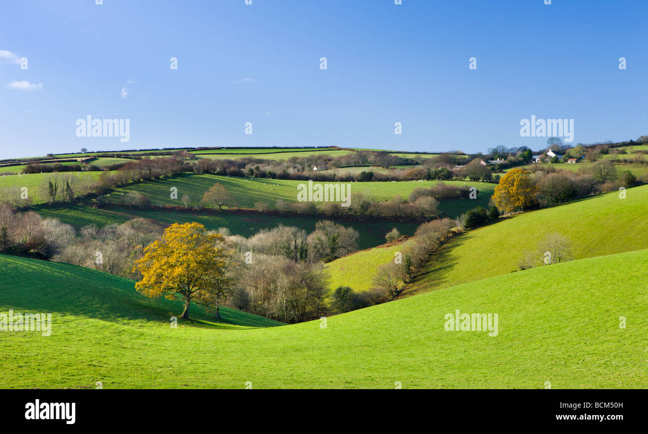 Rolling countryside of Exmoor National Park Somerset England November 2008 Stock Photo
