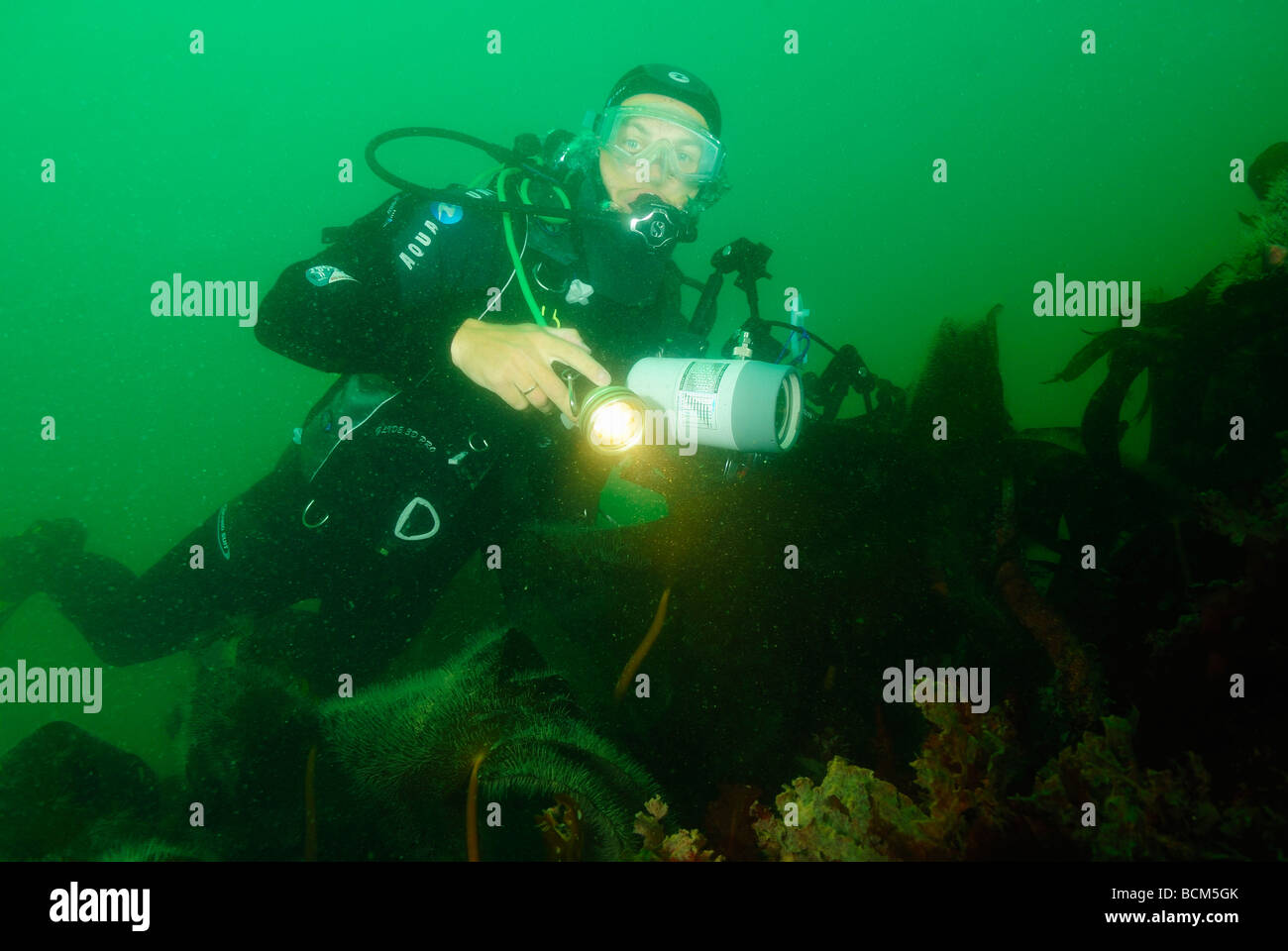 Scuba diver photographer diving in North Brittany Stock Photo