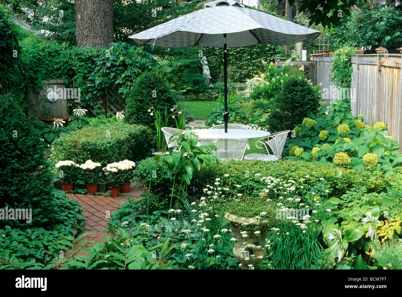 BACKYARD GARDEN IN ST.PAUL, MINNESOTA FULL OF GREEN AND WHITE PERENNIALS AND ANNUALS Stock Photo