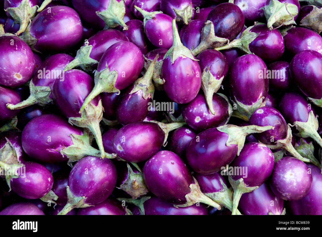 Aubergines Devarja Market Mysore Karnataka State India Stock Photo Alamy