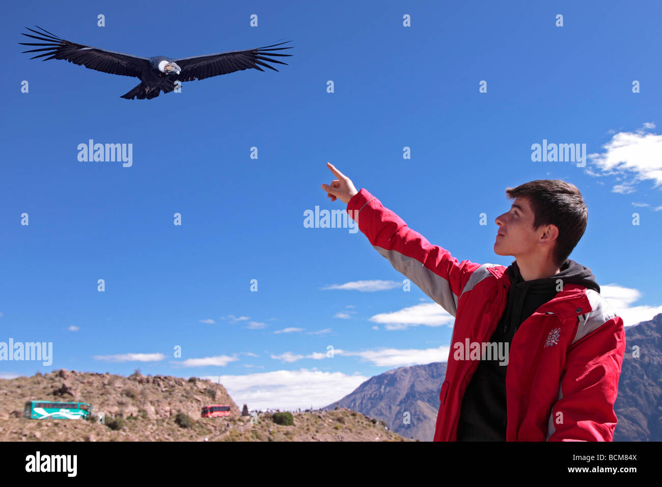 boy watching a condor at Cañón del Colca, Peru Stock Photo