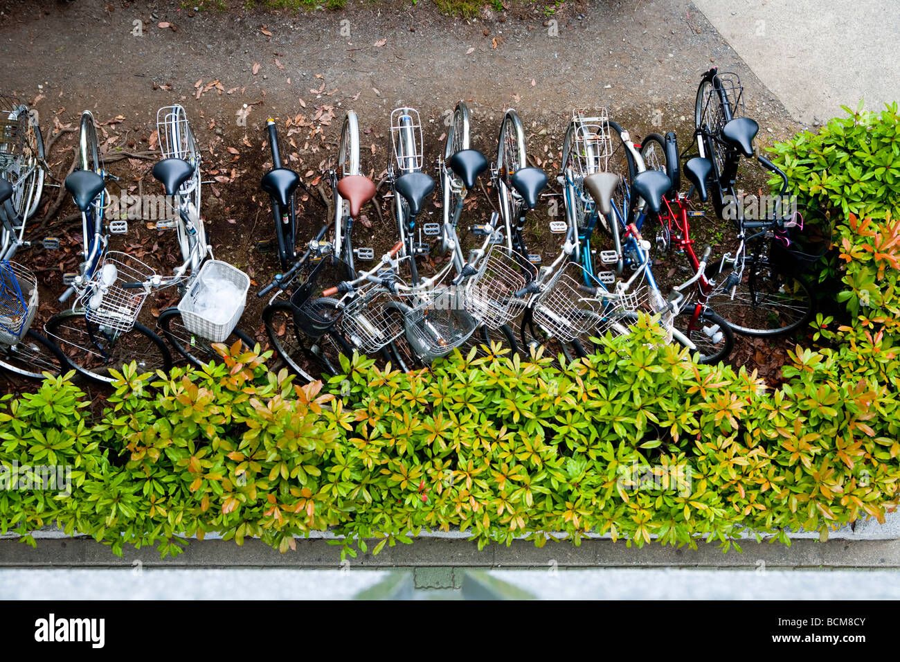 bike parking in tokyo japan Stock Photo Alamy