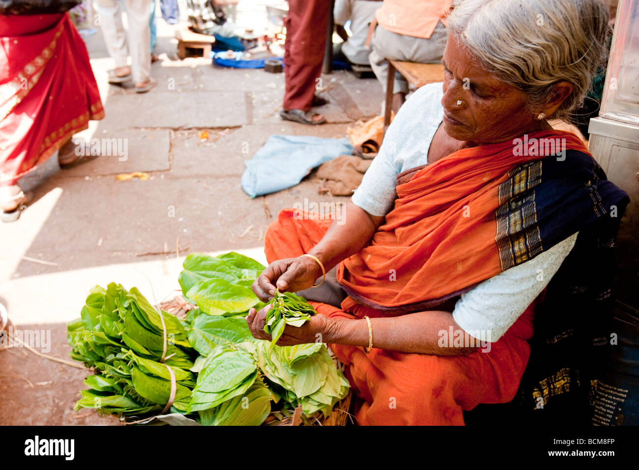 Old Indian Woman Selling Vegetables In Devarja Market Mysore Karnataka State India Stock Photo