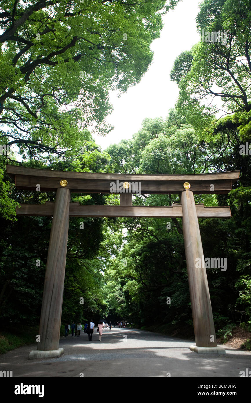 The solid wooden gate structure at Meiji Jingu Shrine in Tokyo Japan Stock Photo