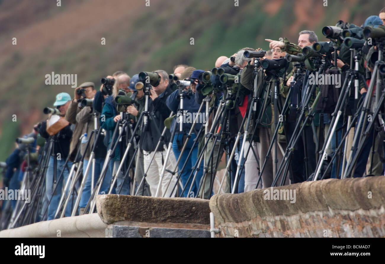 Birdwatchers or twitchers line up on sea wall in devon looking for rare bird Stock Photo
