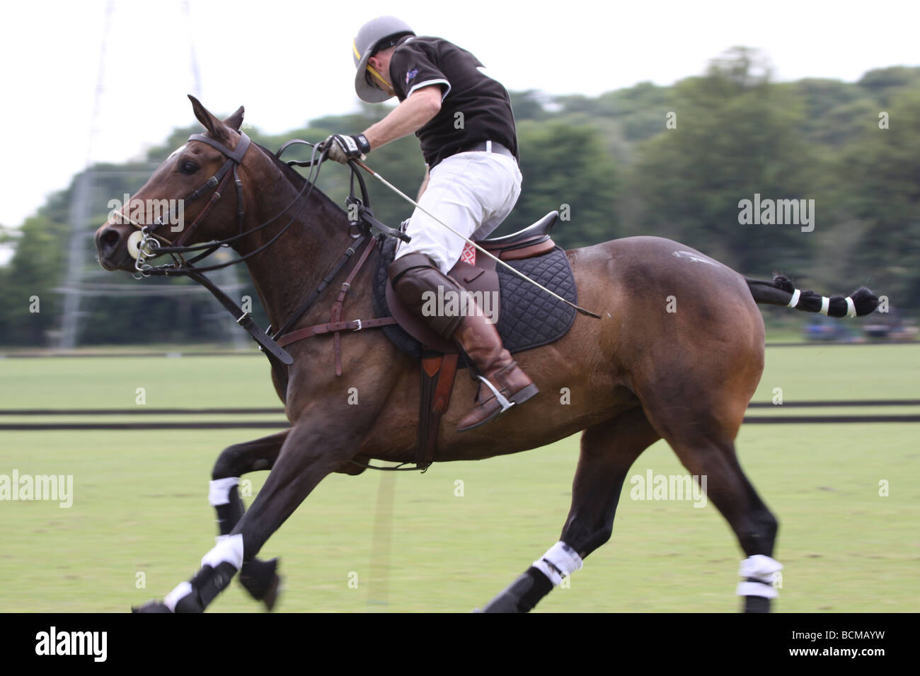 Polo player about to hit the ball Stock Photo Alamy