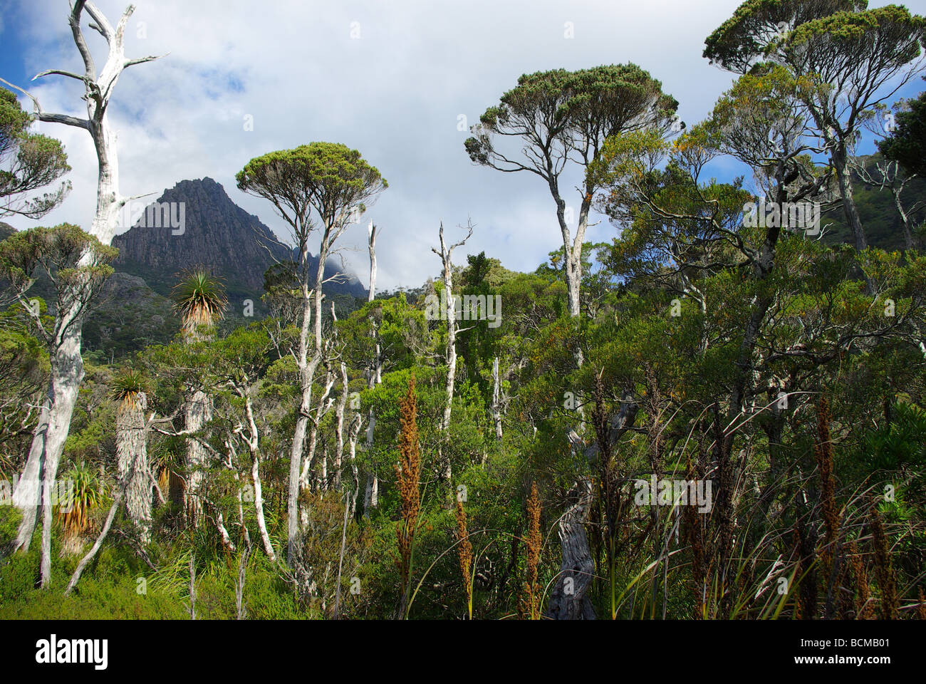 Cradle Mountain, Tasmania, Australia. Stock Photo