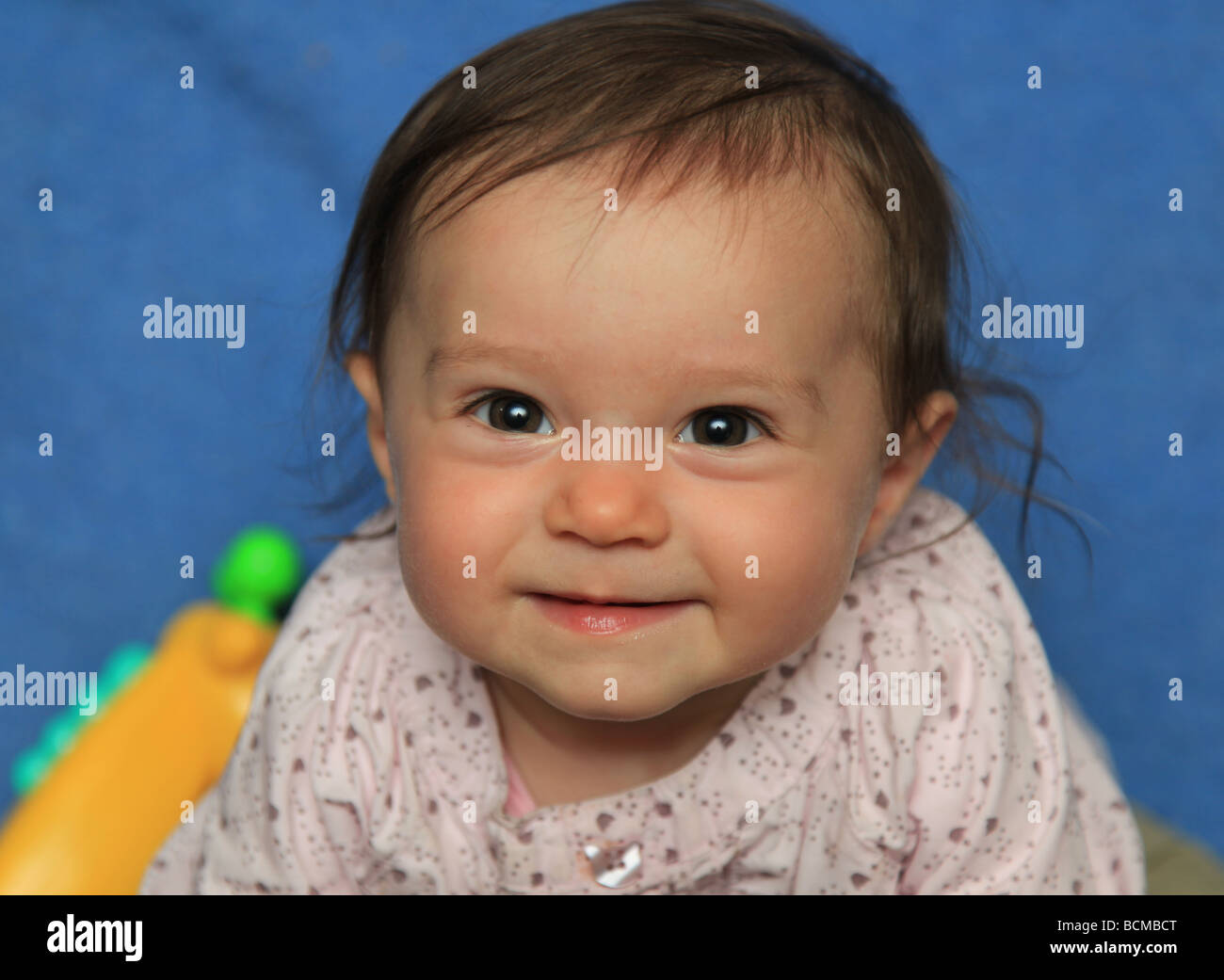 6-month-old-baby-girl-stock-photo-alamy