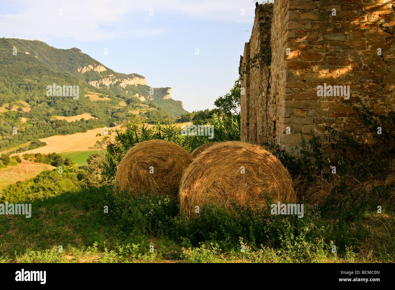 Le Marche Countryside, Italy Stock Photo
