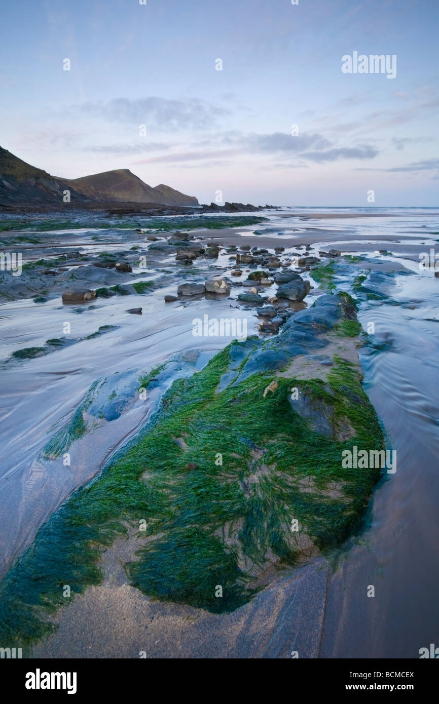 Crackington Haven in the morning Stock Photo
