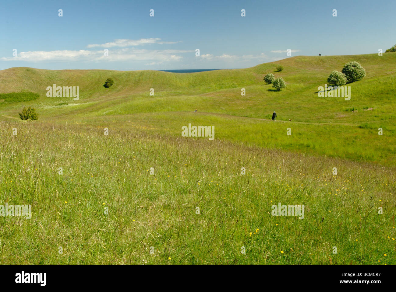 The rolling hills of northernmost Samsoe Stock Photo