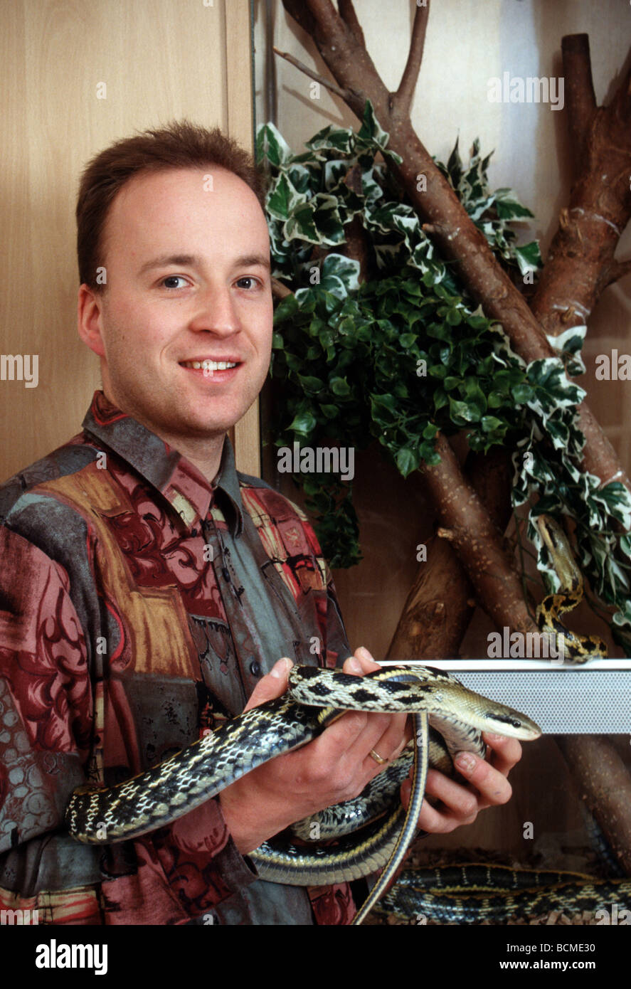 Adult man keeping snakes as pet animals  - SerieCVS500201b Stock Photo