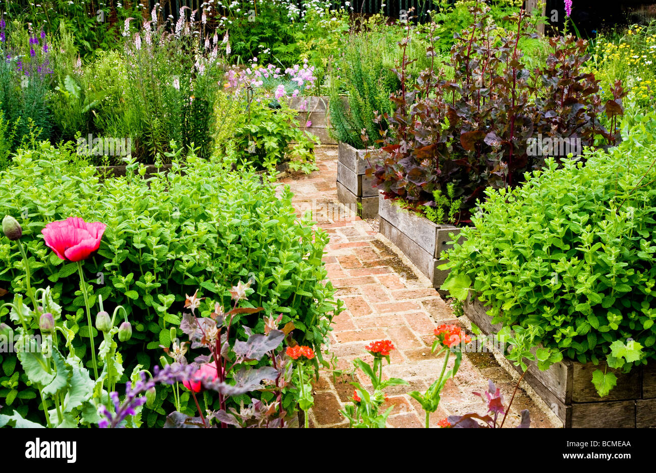 A corner of the Physic Garden at the TWIGS gardens in Swindon Wiltshire England UK Stock Photo