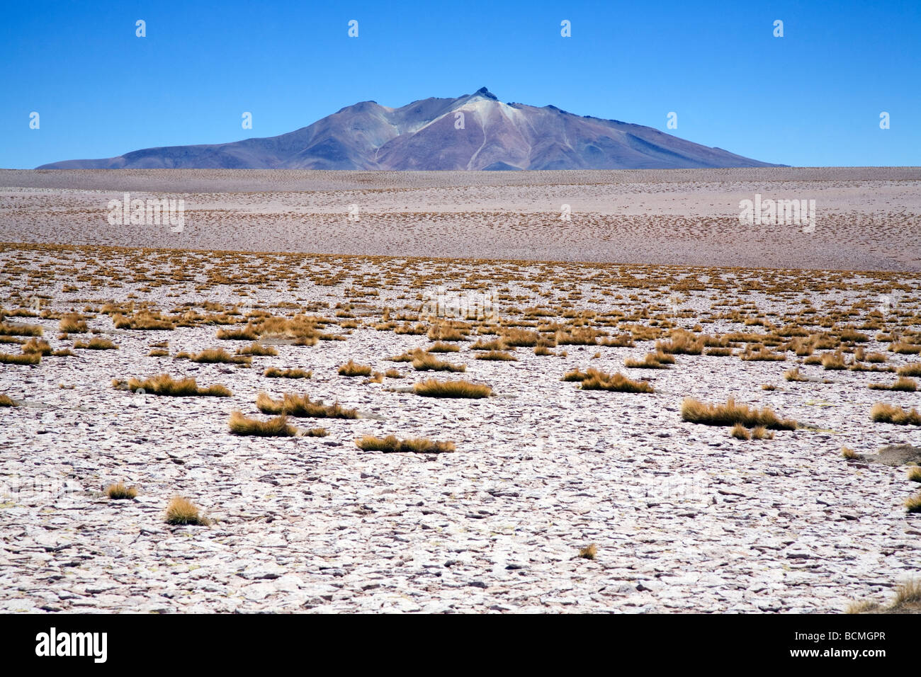 Volcano on the Andean Altiplano, near Tara Salt Lake, Chile Stock Photo
