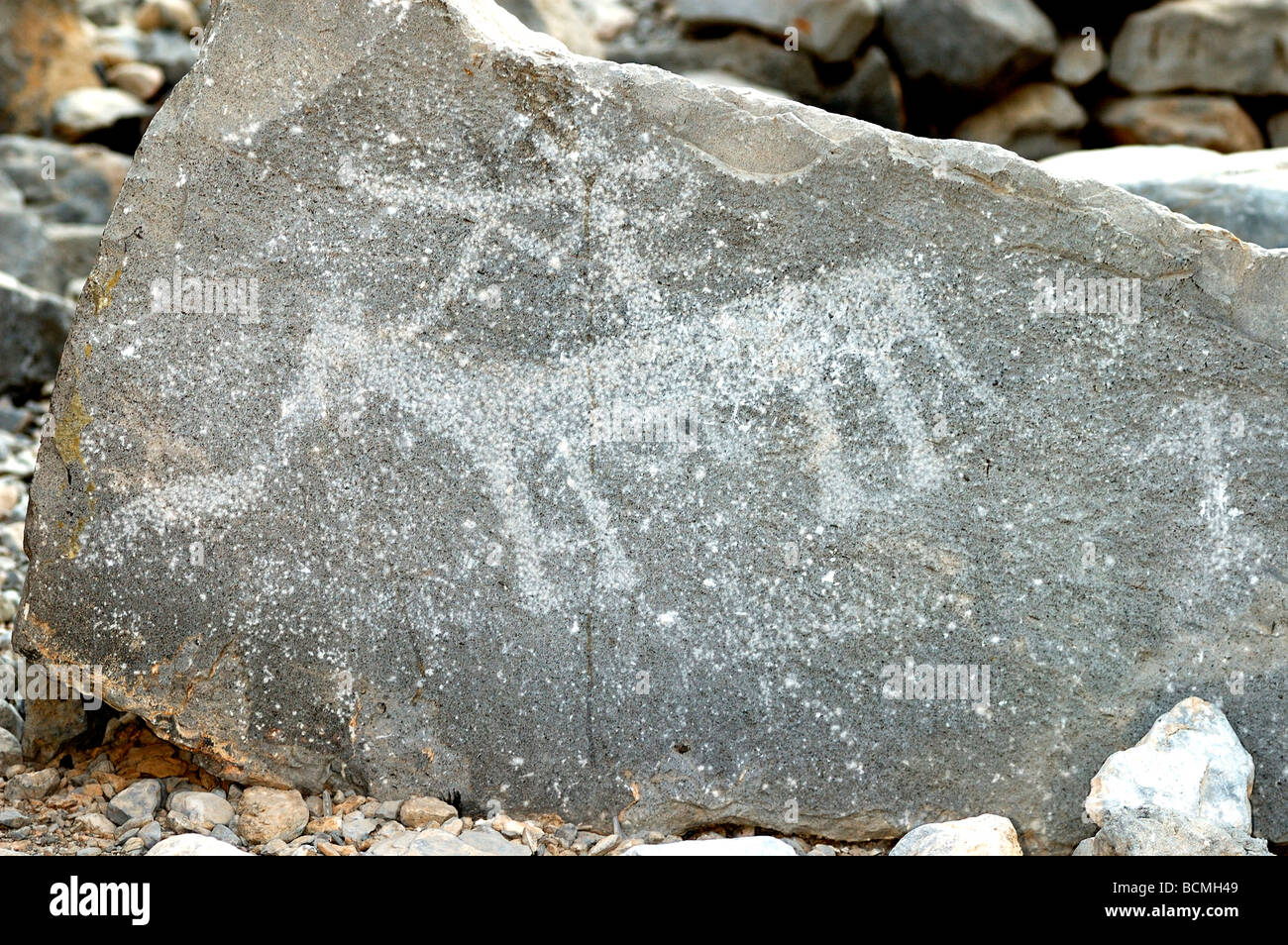Rock carvings, prehistorical designs of animals, petroglyphs, Tawi, Musandam, Sultanate of Oman Stock Photo