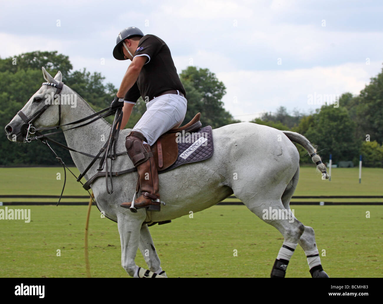 Polo player about to hit the ball Stock Photo Alamy