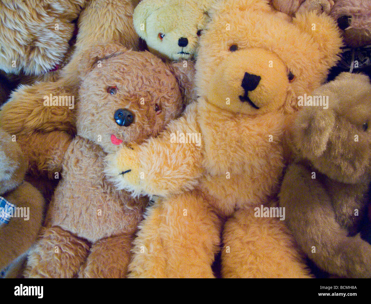 Teddy bears England UK Stock Photo Alamy