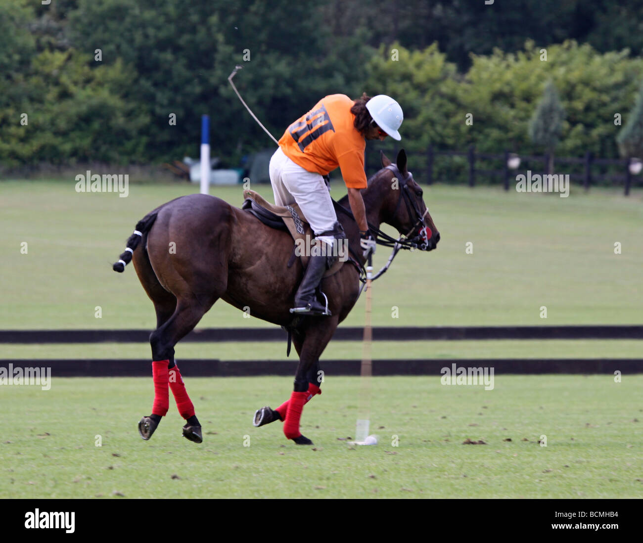 Polo player about to hit the ball Stock Photo Alamy