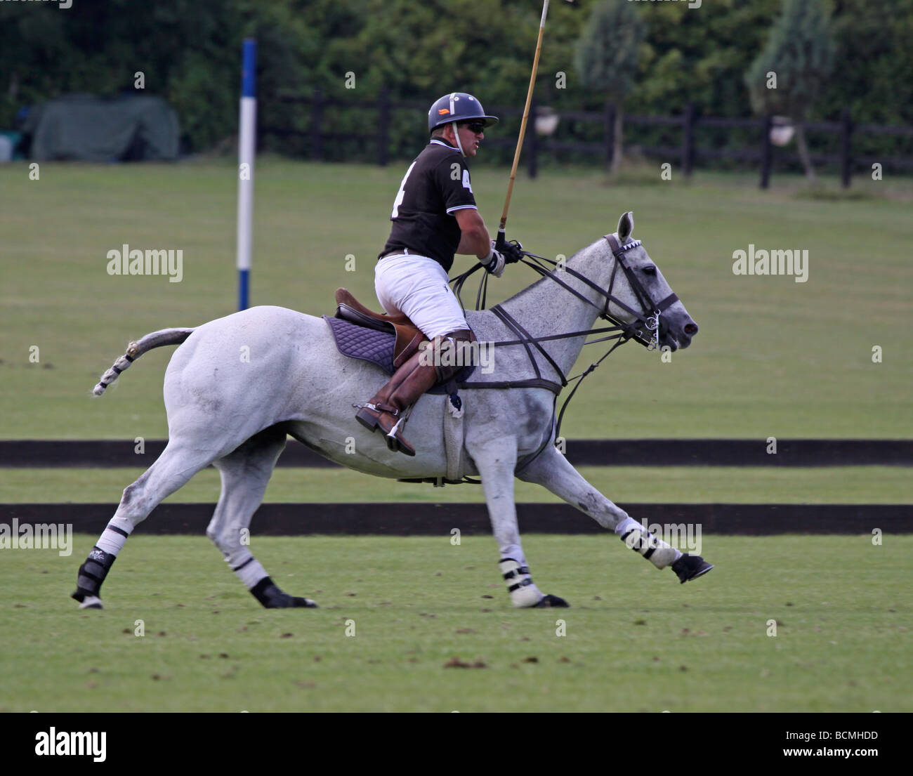 Polo player on a grey polo pony Stock Photo - Alamy