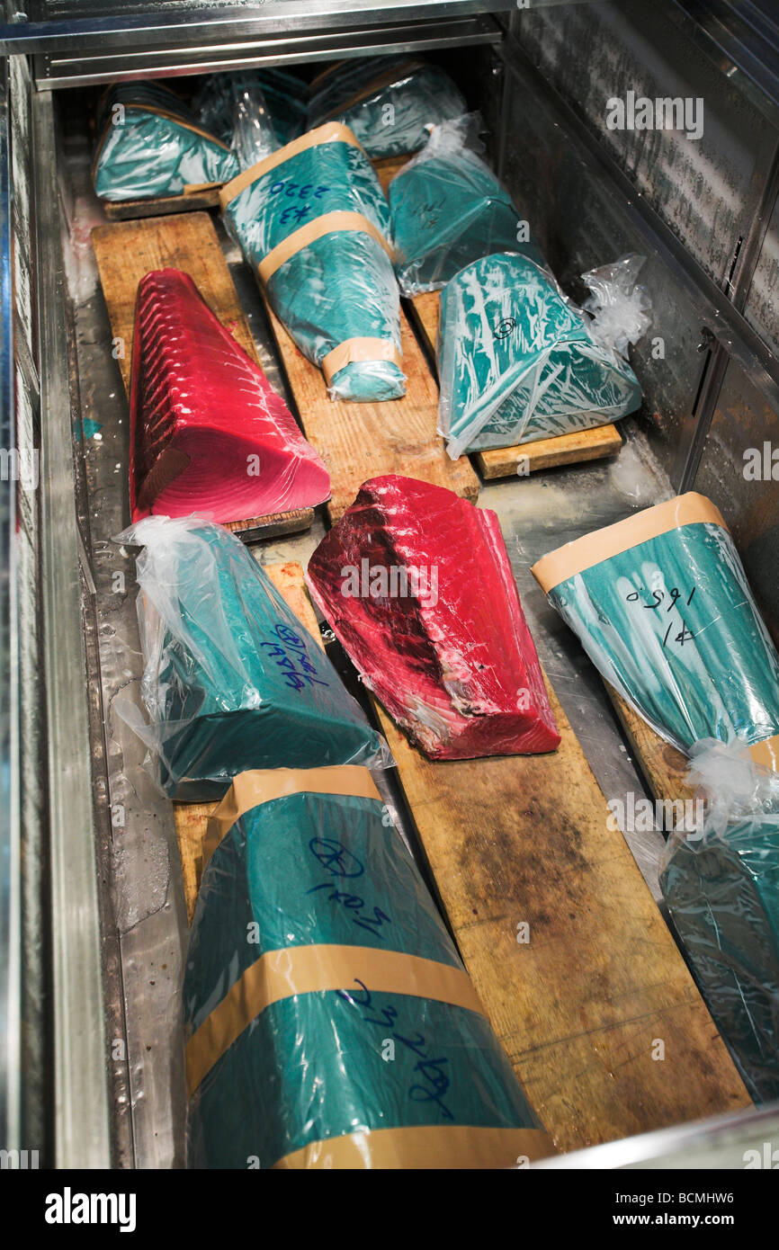 Tuna Tsukiji fish market Tokyo Japan Stock Photo - Alamy