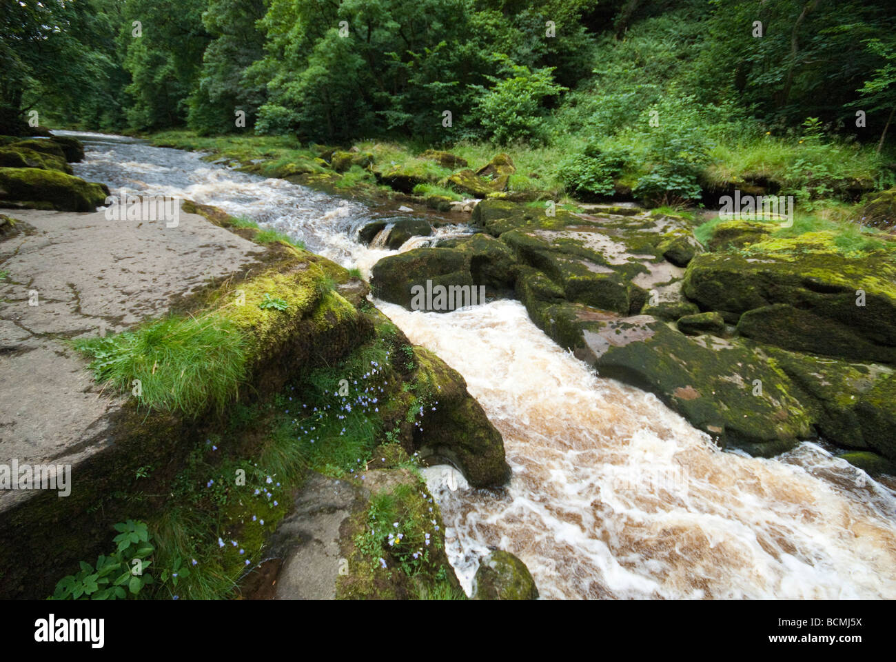 The Strid at Bolton Abbey in the Yorkshire Dales Stock Photo