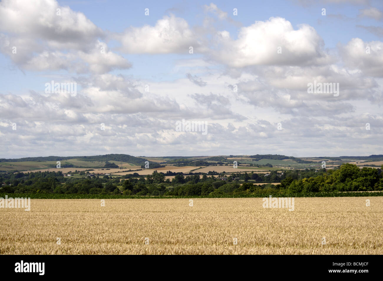 Chiltern Hills South Oxfordshire UK Stock Photo