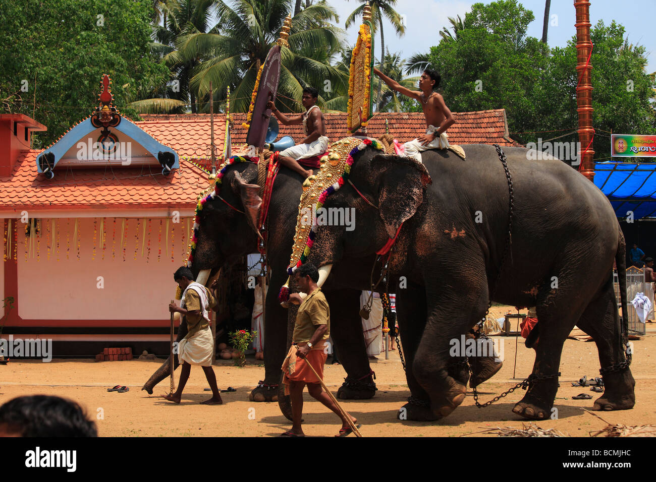 Adorned elephants participating in temple festival. Stock Photo