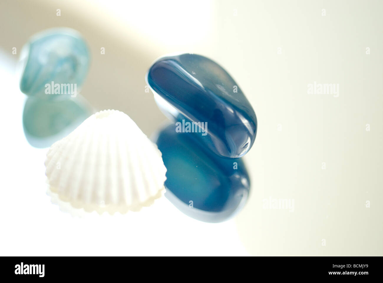 white small shell, precious stones in blue Stock Photo