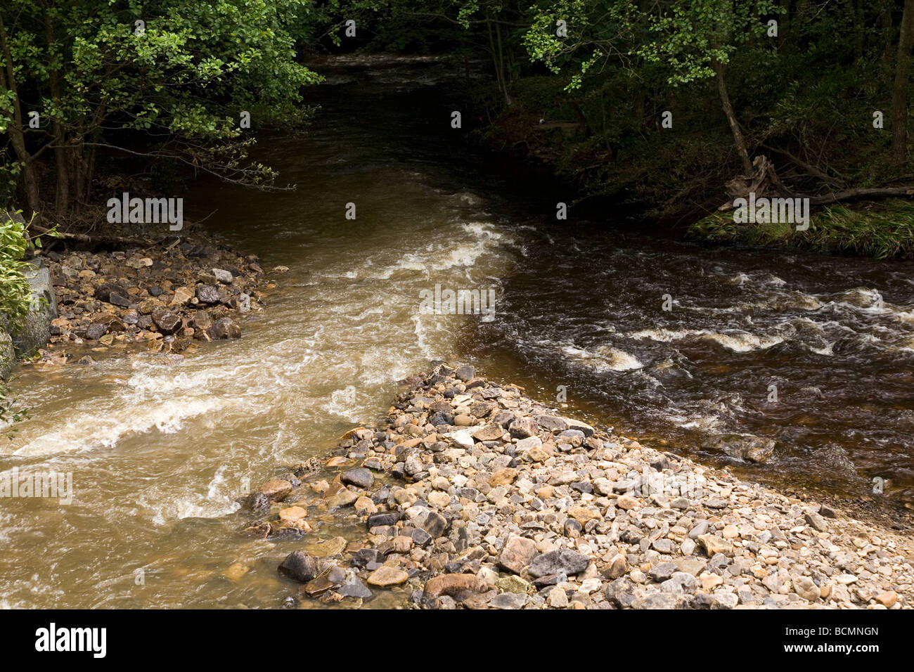Streams (known as burns) of two different colours flow and merge together within Hamsterley Forest in County Durham, England. Stock Photo