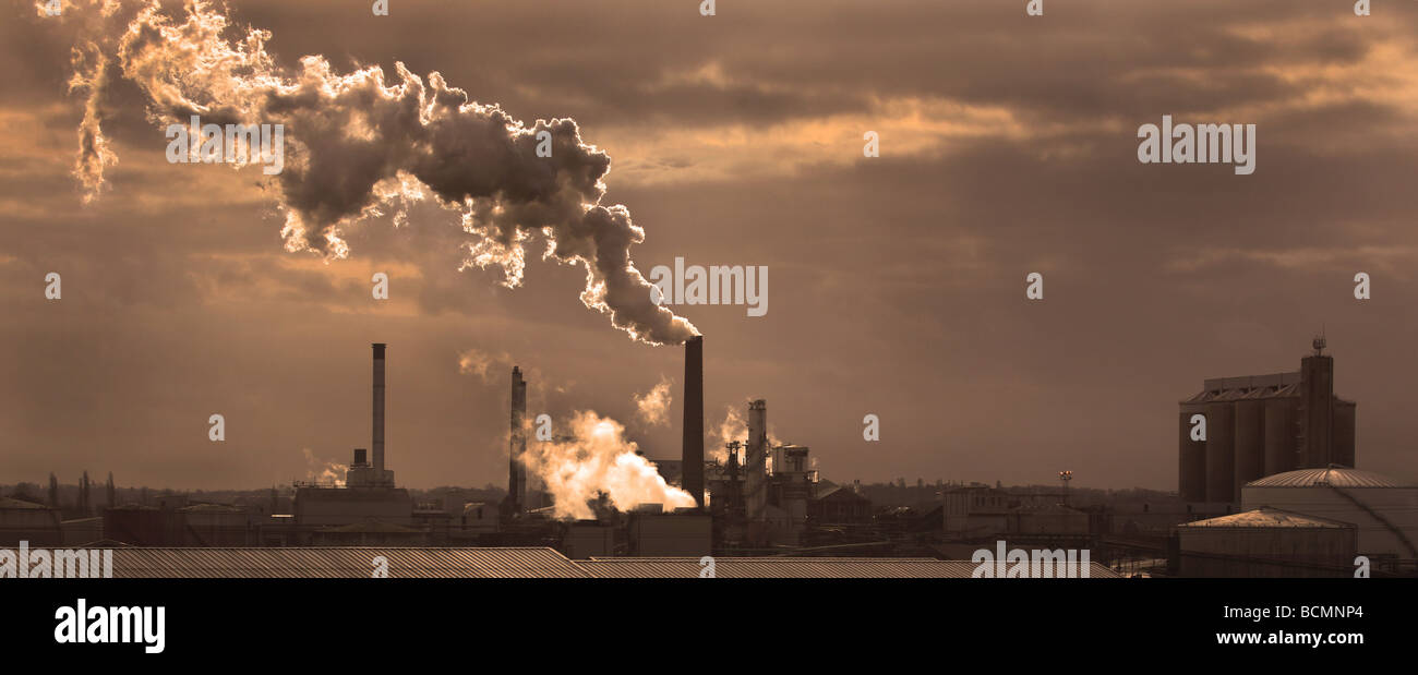 SUGAR BEET FACTORY IN BURY ST EDMUNDS HOME OF BRITISH SUGAR Local