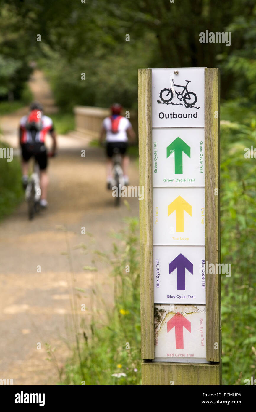Two mountain bikers enjoy cycling along a trail in Hamsterley Forest in County Durham, England. Stock Photo