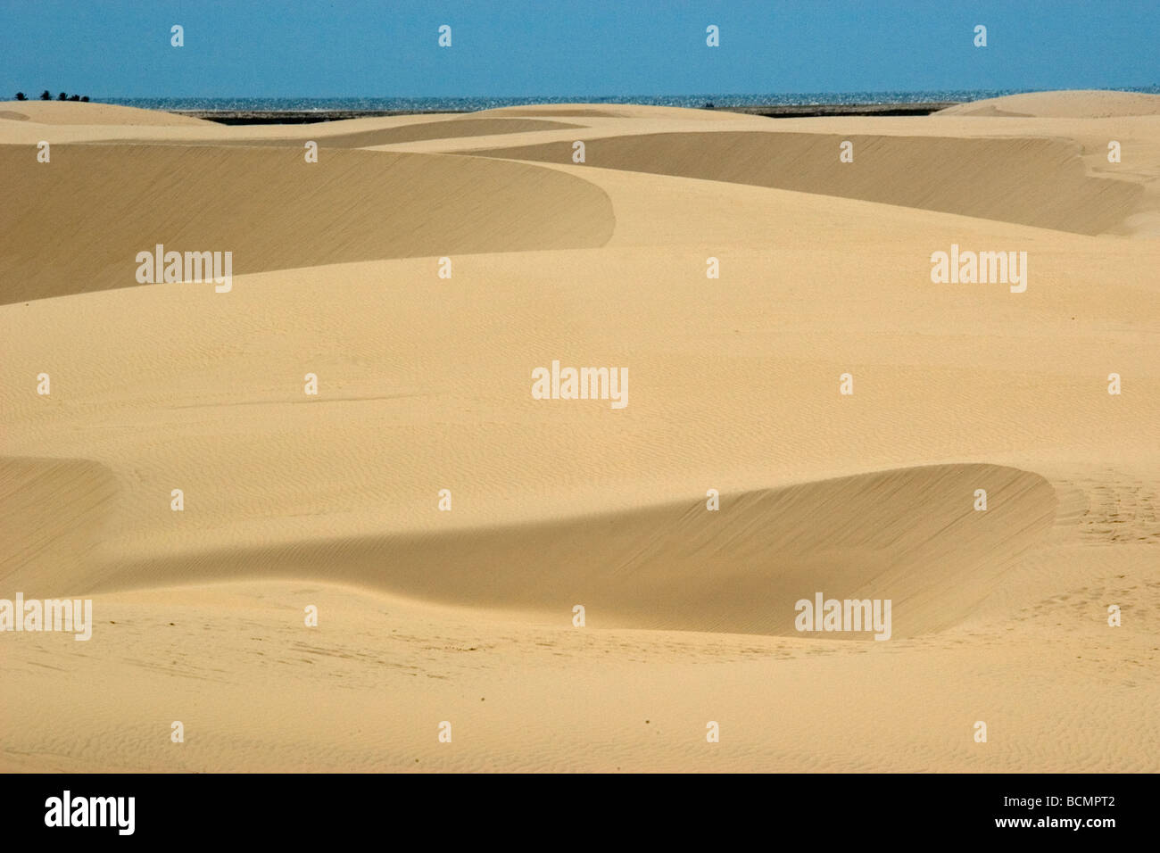 Sand dunes from Pequenos Lencois Maranhenses, between the ocean and Preguicas river, Barreirinhas, Maranhao, Brazil Stock Photo