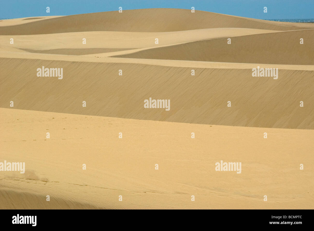 Sand dunes from Pequenos Lencois Maranhenses, between the ocean and Preguicas river, Barreirinhas, Maranhao, Brazil Stock Photo