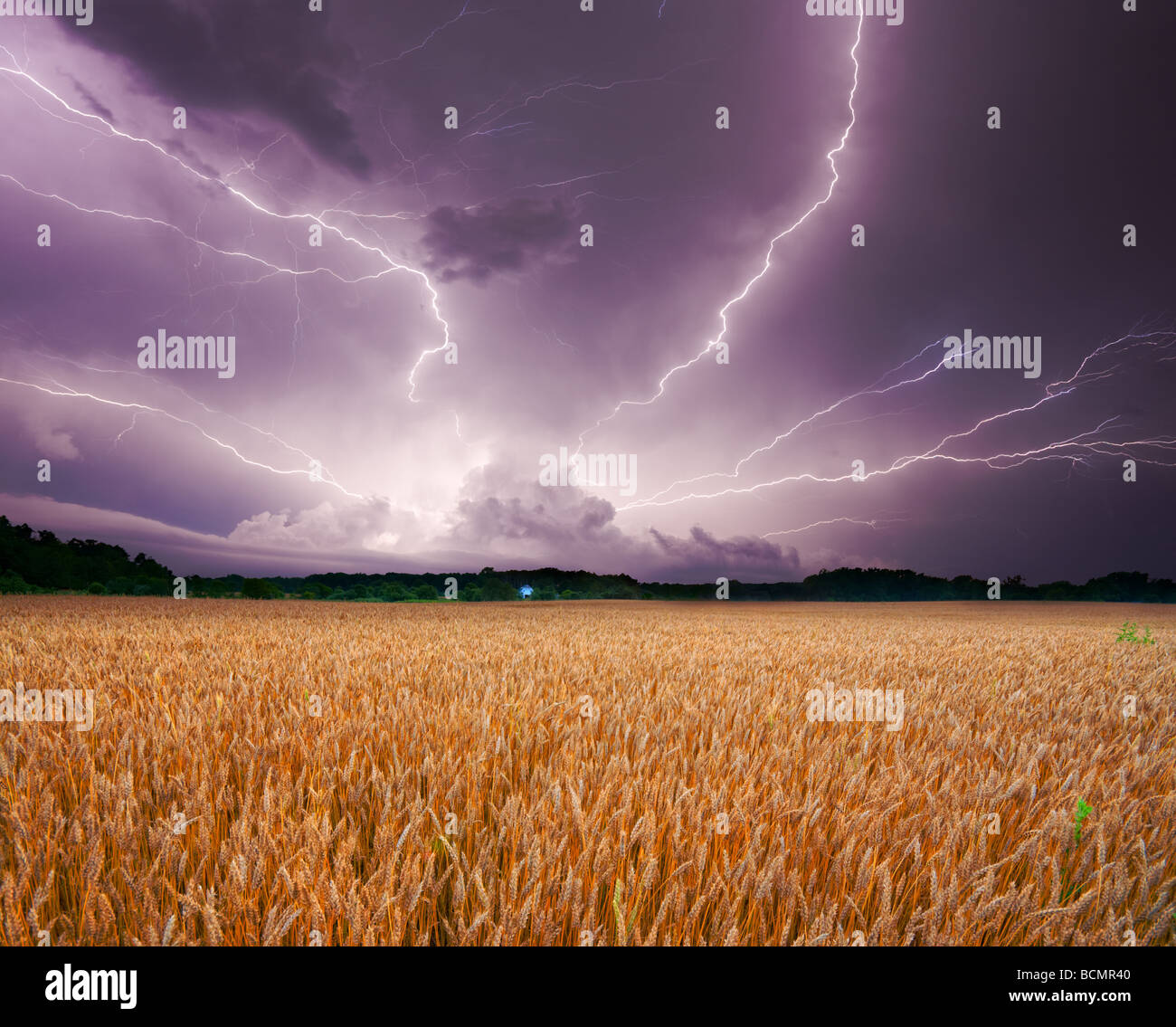 Storm over wheat field Stock Photo